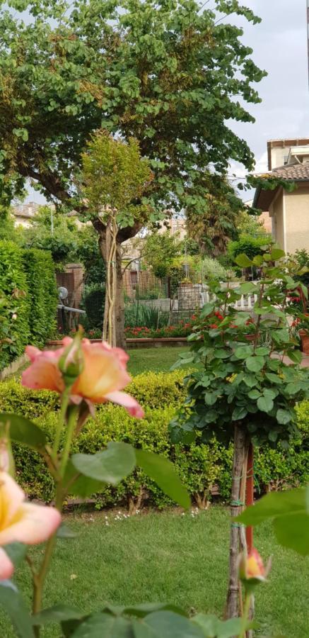 La Casa Di Gigliola Βίλα Monticiano Εξωτερικό φωτογραφία