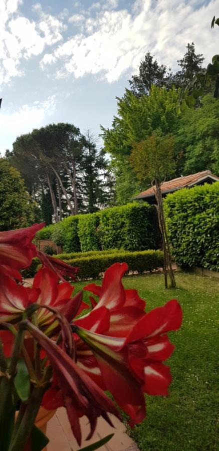 La Casa Di Gigliola Βίλα Monticiano Εξωτερικό φωτογραφία