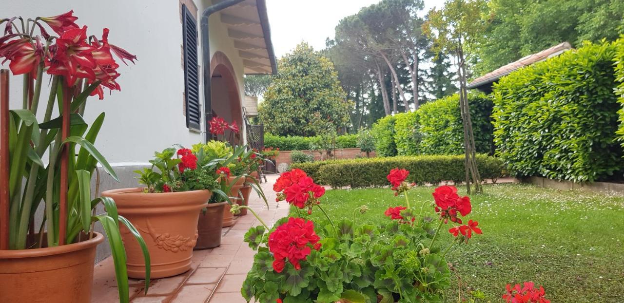 La Casa Di Gigliola Βίλα Monticiano Εξωτερικό φωτογραφία