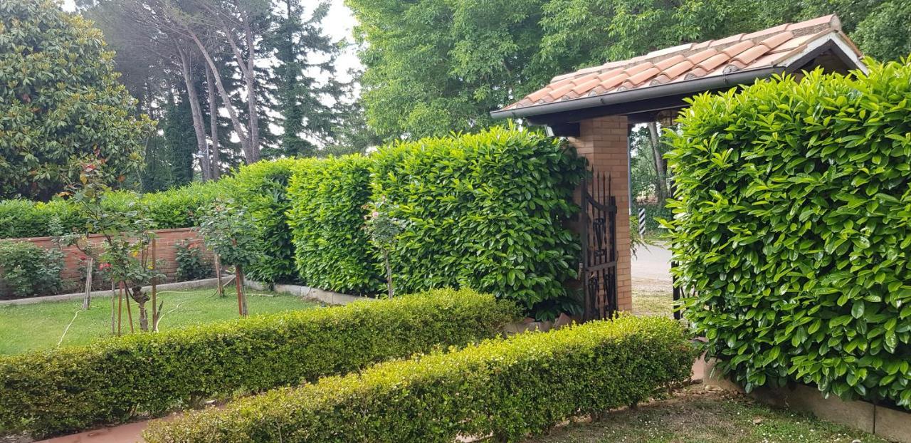 La Casa Di Gigliola Βίλα Monticiano Εξωτερικό φωτογραφία